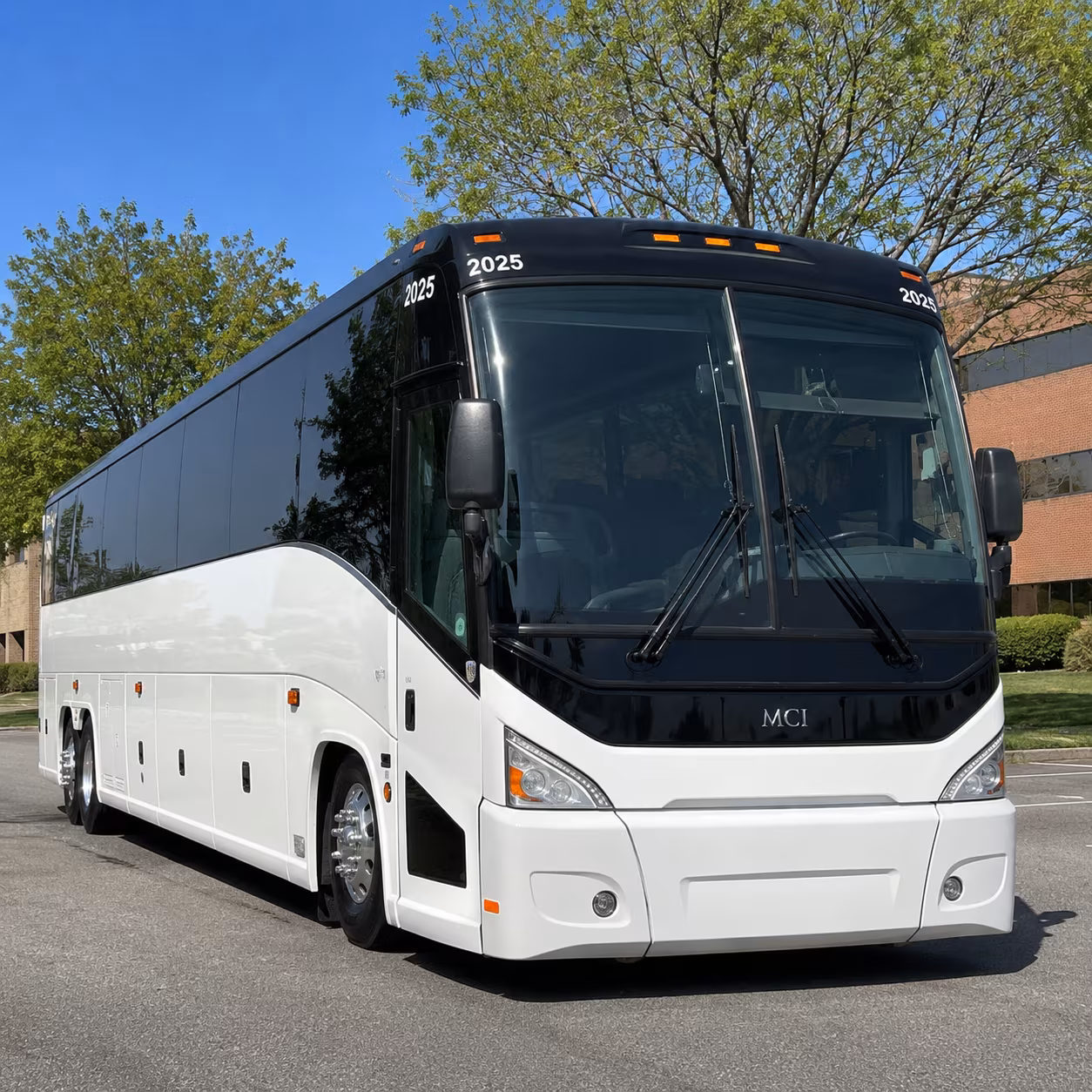 book the perfect ride for your next bachelor or bachelorette party 5